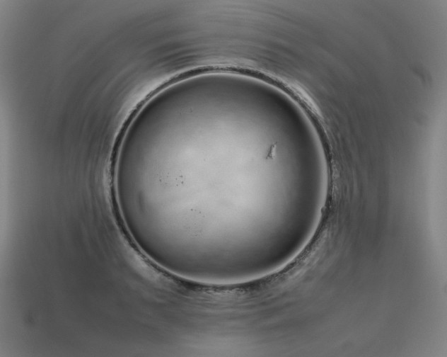 X0000113760895200909231202