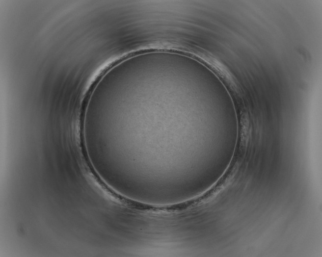 X0000113760896200909231202