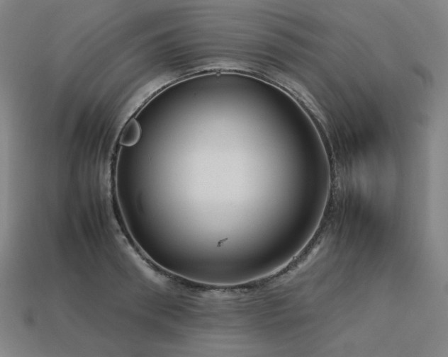 X0000113760898200909231202
