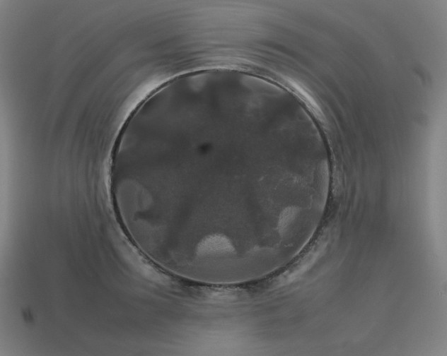 X0000113760899200909231202
