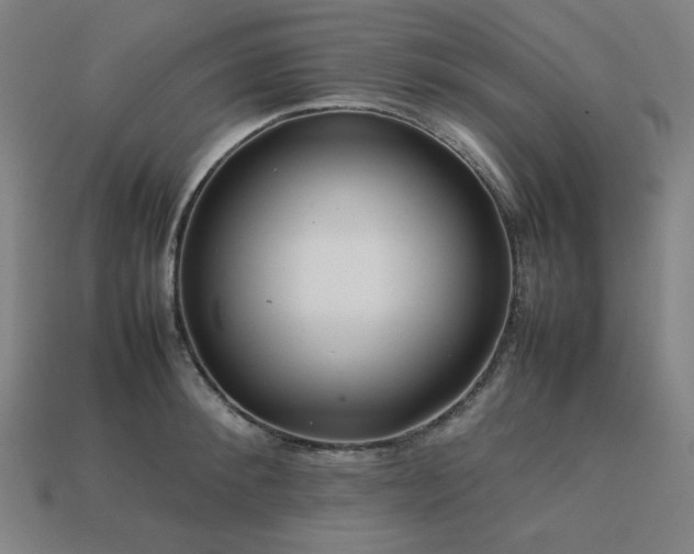 X0000113760900200909231202