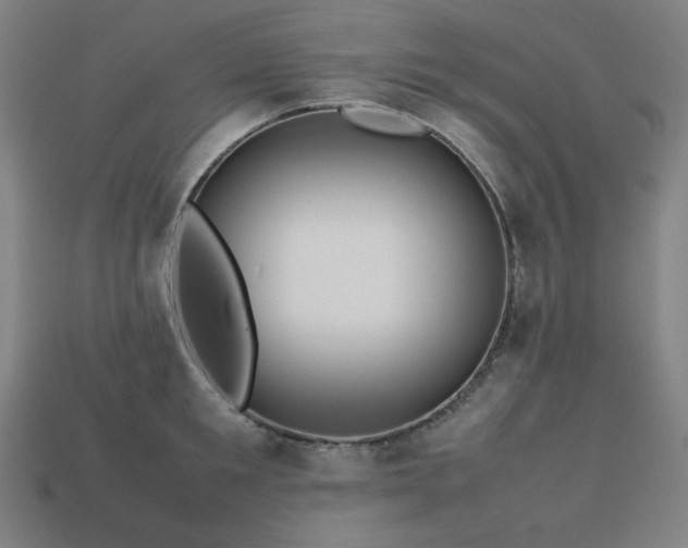 X0000113760901200909231202