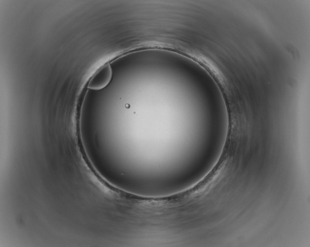 X0000113760902200909231202