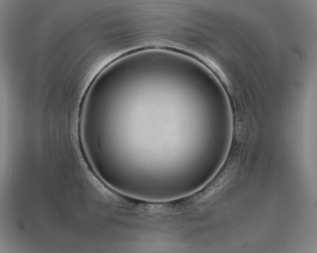 X0000113760903200909231202