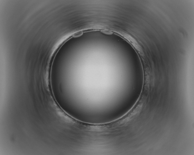X0000113760904200909231202