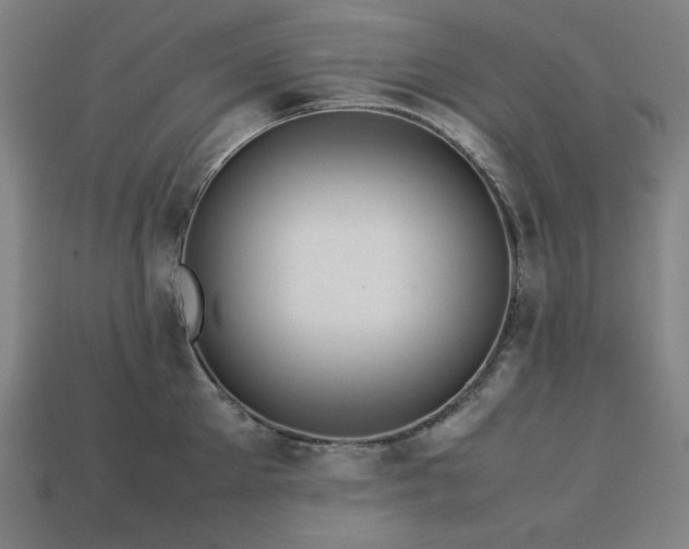 X0000113760905200909231202