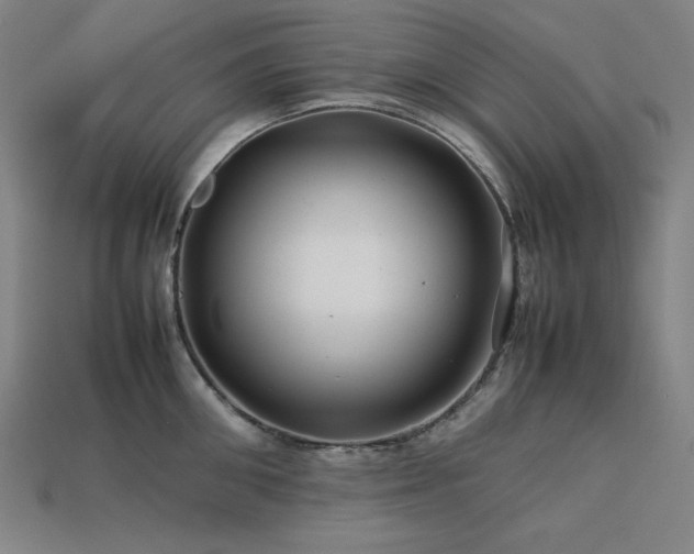 X0000113760906200909231202