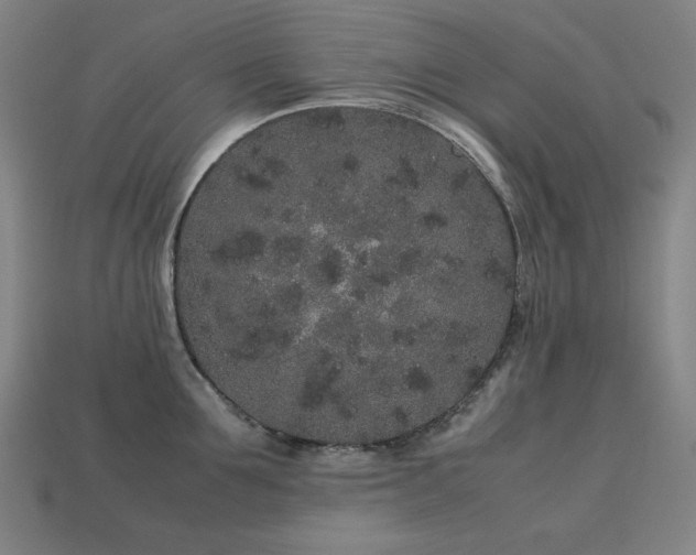 X0000113760907200909231202