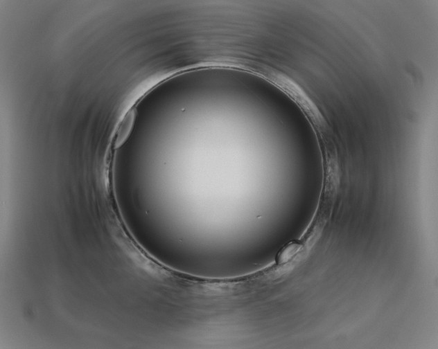X0000113760908200909231202