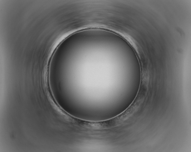 X0000113760911200909231202