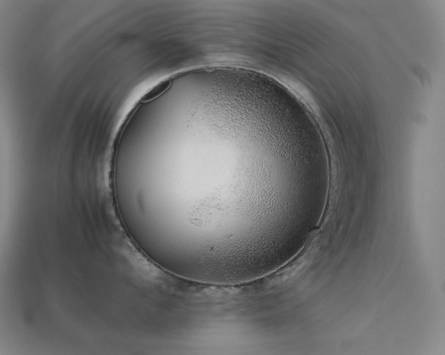 X0000113760912200909231202