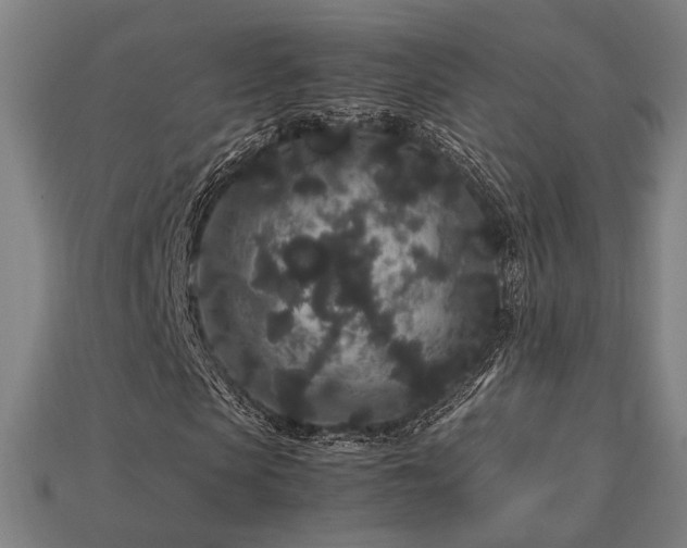X0000113760913200909231201