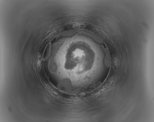 X0000113760914200909231201