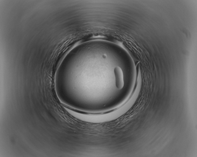 X0000113760916200909231201