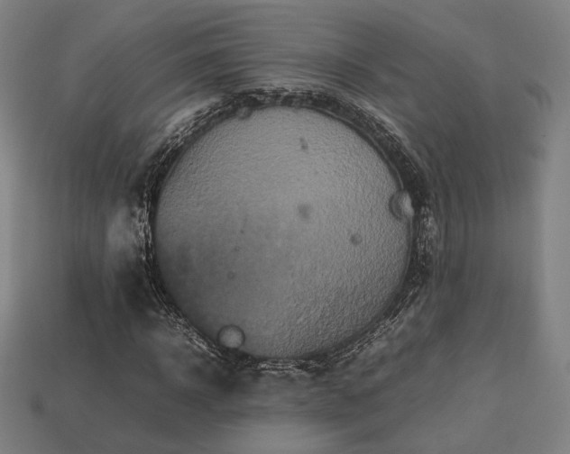 X0000113760918200909231201