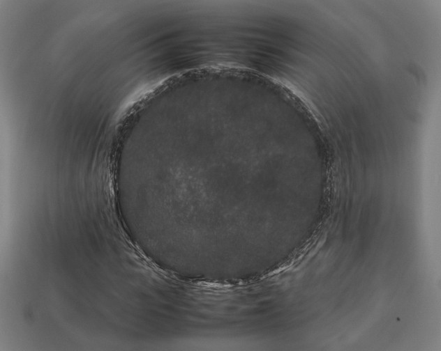 X0000113760919200909231201