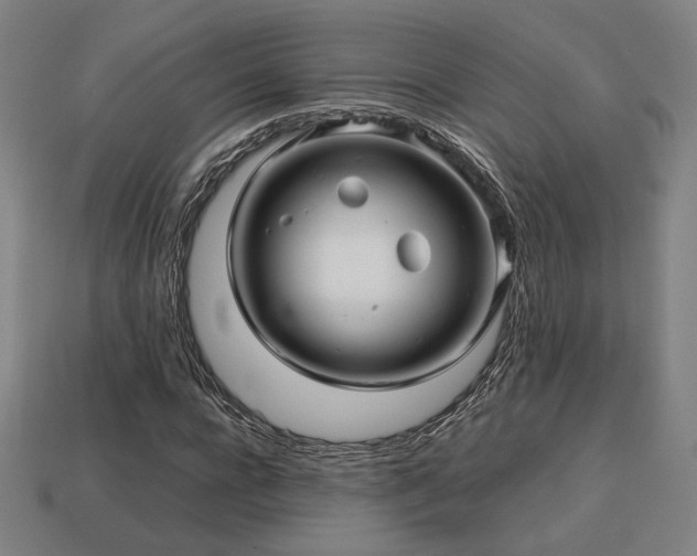 X0000113760920200909231201