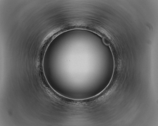 X0000113760922200909231201