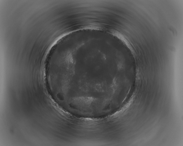 X0000113760923200909231202