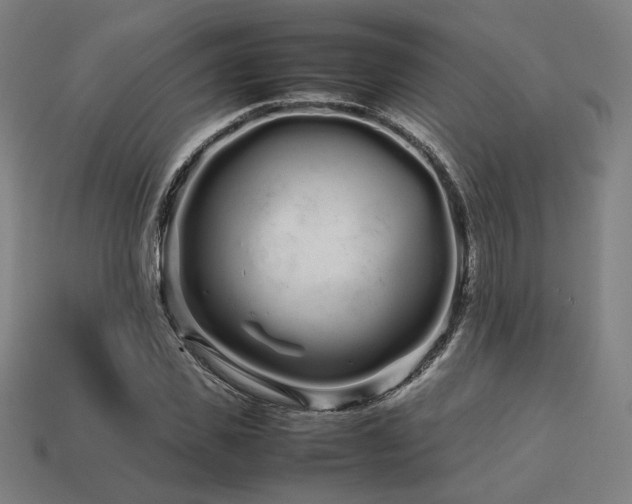 X0000113760925200909231202