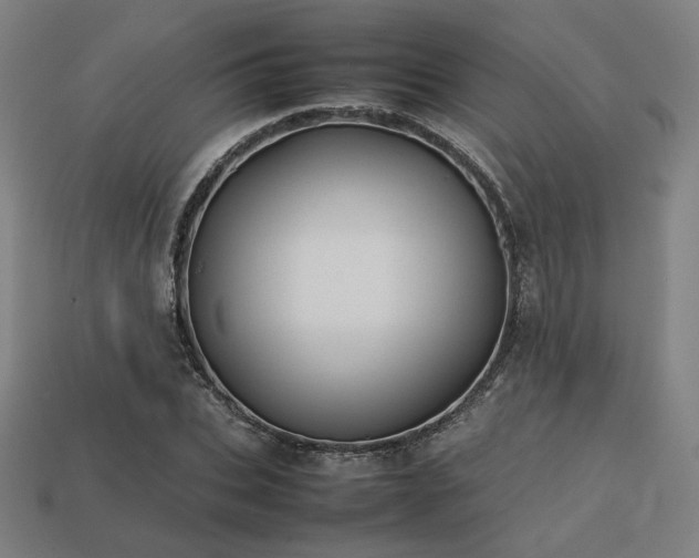 X0000113760927200909231202