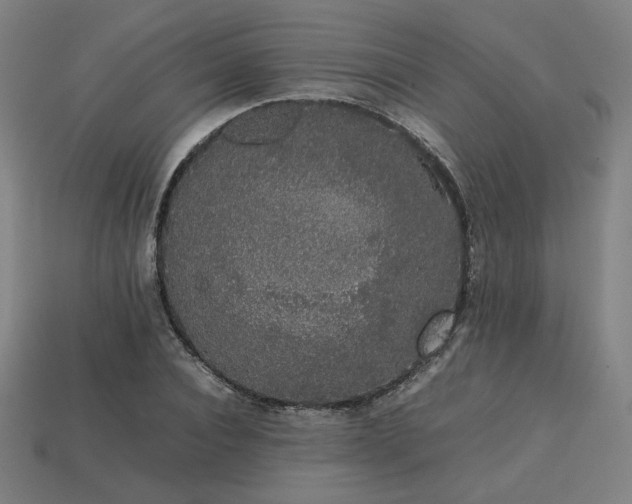 X0000113760928200909231202