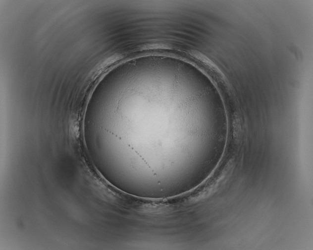 X0000113760929200909231202