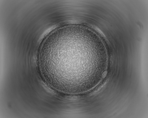 X0000113760930200909231202
