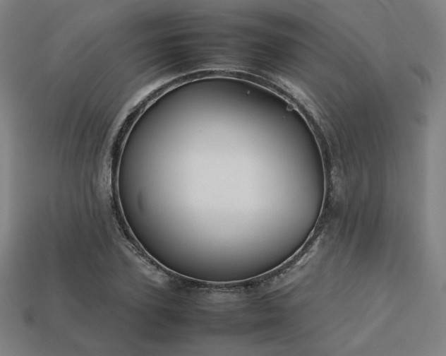 X0000113760931200909231202