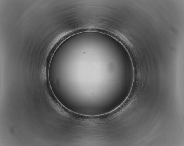 X0000113760934200909231202