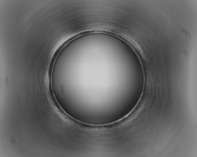 X0000113760936200909231202