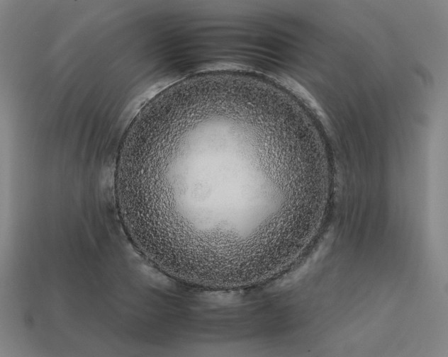 X0000113760937200909231202