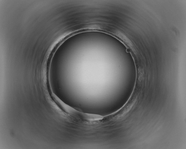X0000113760939200909231202