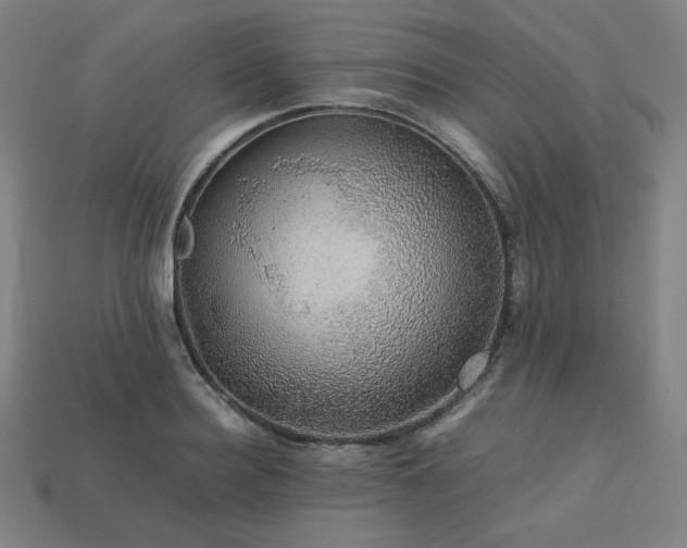 X0000113760940200909231202