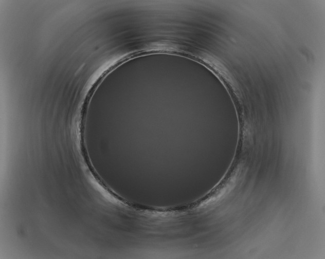X0000113760941200909231202