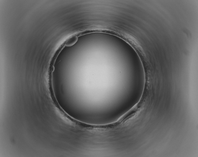 X0000113760942200909231202