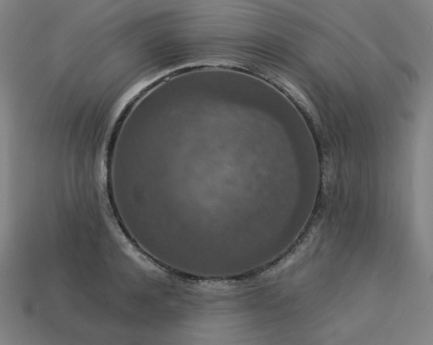 X0000113760944200909231202