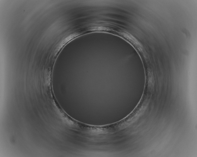 X0000113760945200909231202
