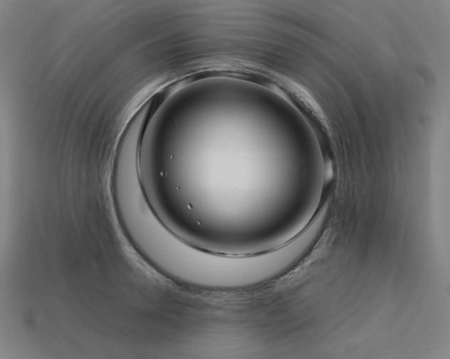 X0000113760946200909231202