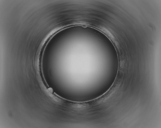 X0000113760947200909231202