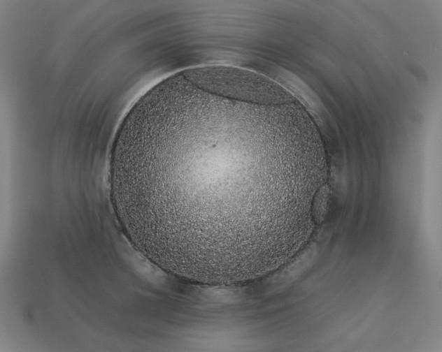 X0000113760948200909231202