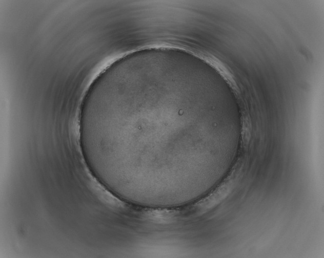 X0000113760950200909231202