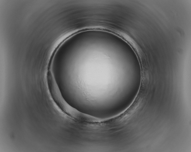X0000113760951200909231202