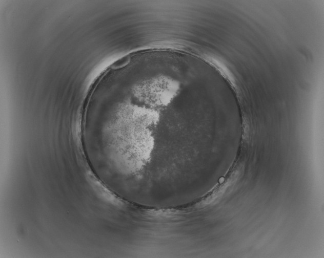 X0000113760952200909231202
