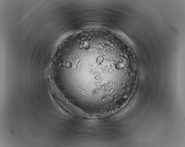 X0000113760953200909231202