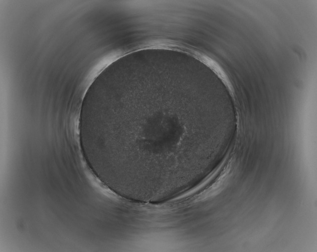 X0000113760954200909231202