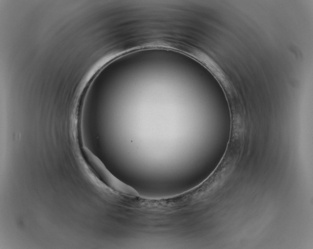X0000113760955200909231202