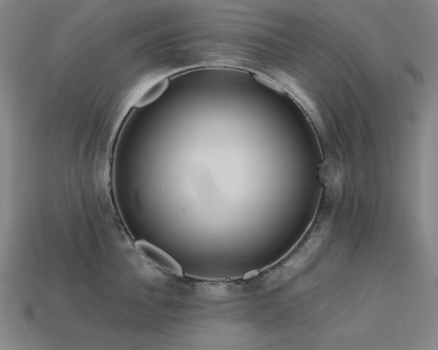 X0000113760956200909231202