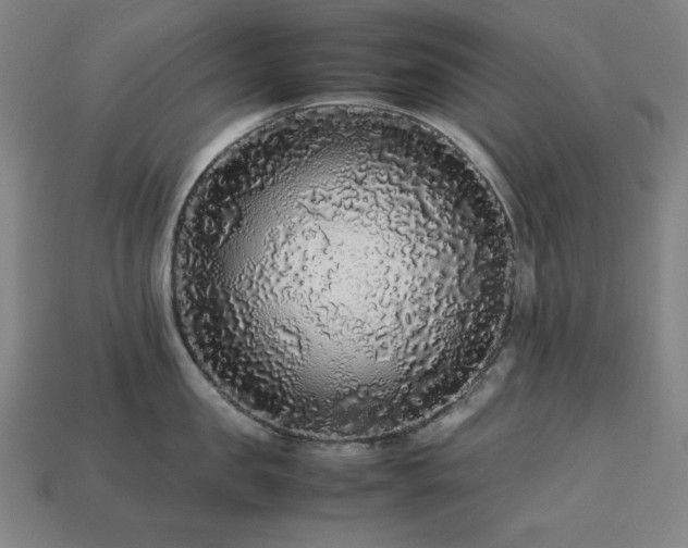 X0000113760957200909231202