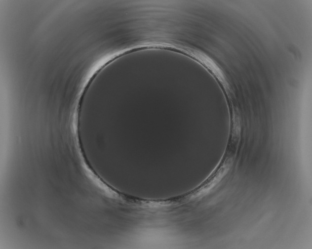 X0000113760958200909231202